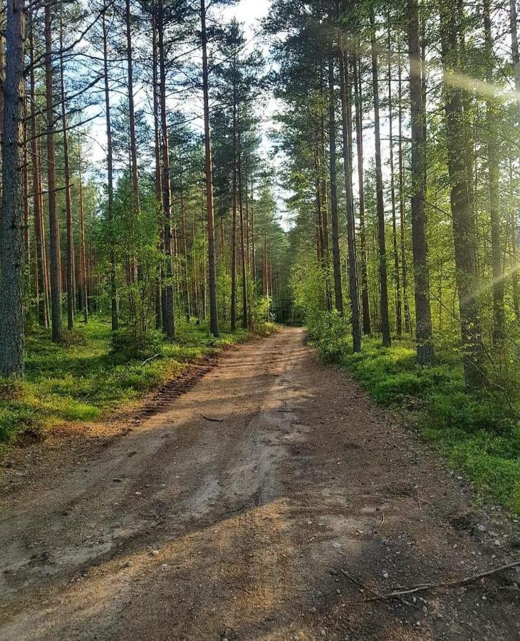 Mysig Timmerstuga Med Braskamin Naera Hovfjaellet Турсбю Экстерьер фото